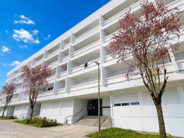 Appartement 4 pièces 77 m²
