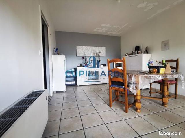 Appartement 4 pièces 77 m²