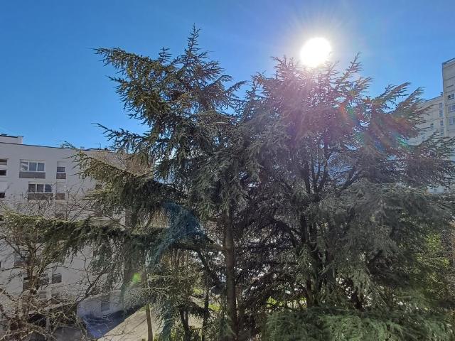 Appartement 4 pièces 78 m²