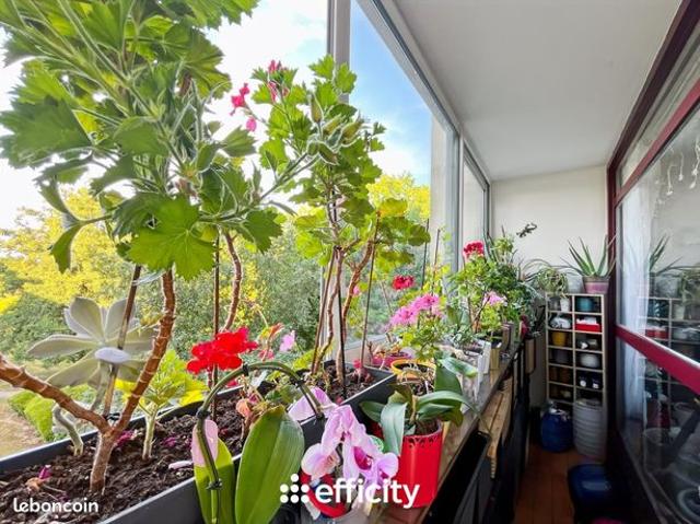 Appartement 4 pièces 80 m²