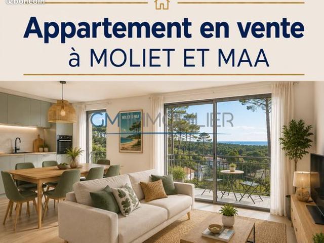Appartement 4 pièces 80 m²
