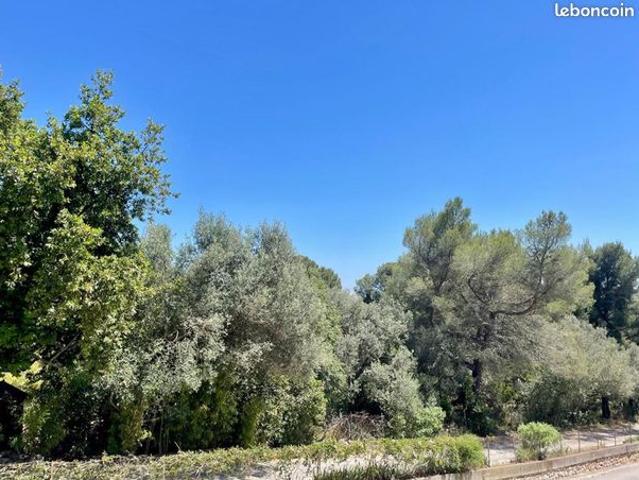 Appartement 4 pièces 82 m²