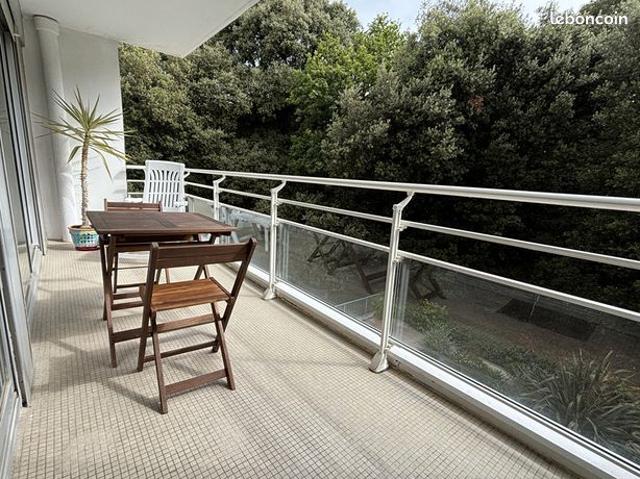 Appartement 4 pièces 85 m²