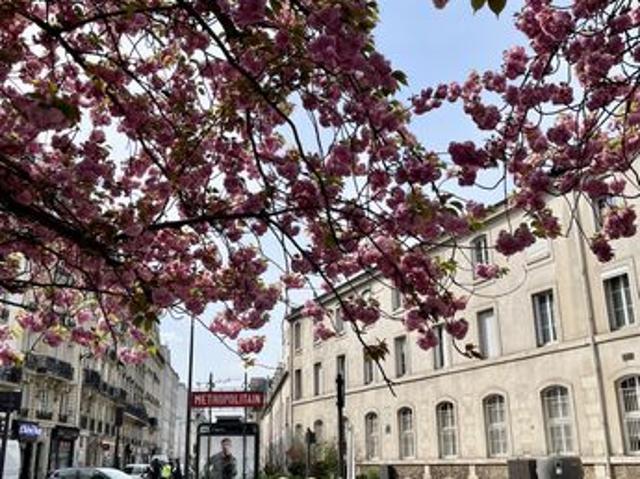 Appartement 4 pièces 93 m²
