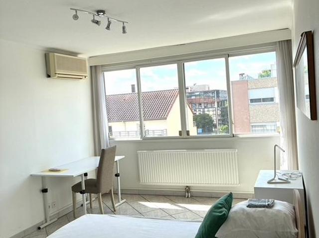 Appartement 4 pièces, 95 m² à louer à Villeurbanne 69100