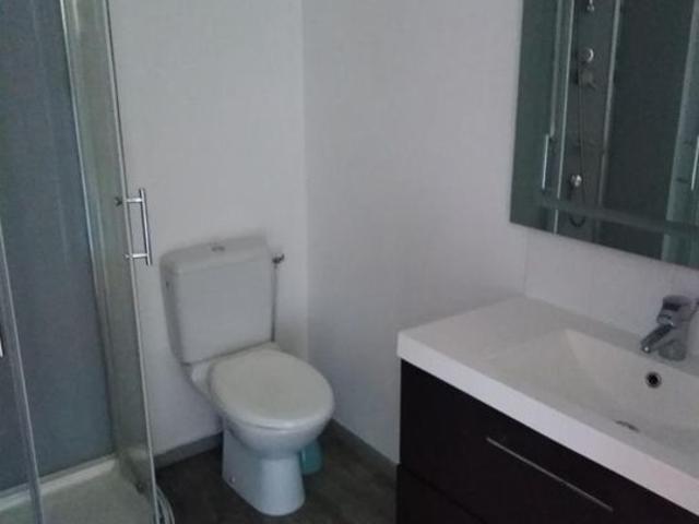Appartement 4 pièces, 110 m² à louer à Saint Amand les Eaux 59230