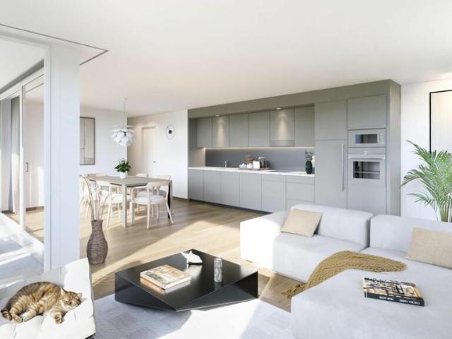 Appartement 4.5 pièces à Siviriez