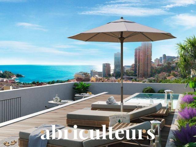 Appartement 50 m2 Roquebrune Cap Martin