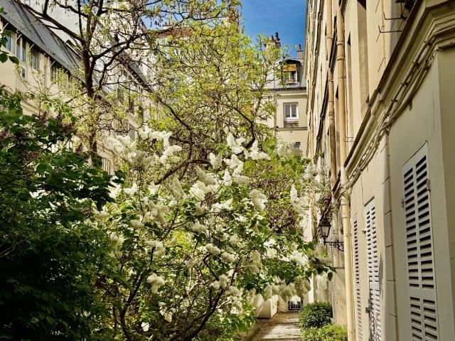 Appartement 5 pièces 117 m²