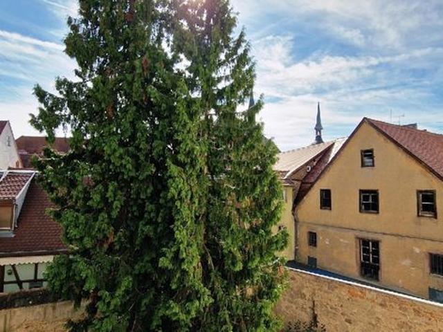 Appartement 5 pièces 120 m²