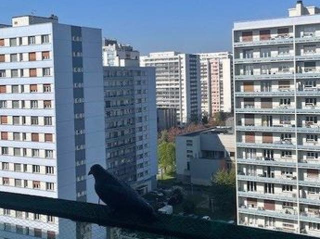 Appartement 5 pièces 120 m²