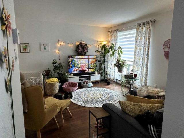 Appartement 5 1/2 rénové Lévis
