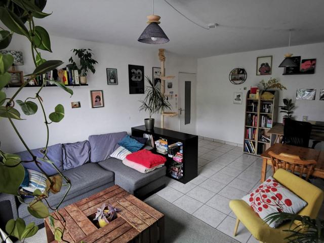 Appartement 61m2 libre début Août