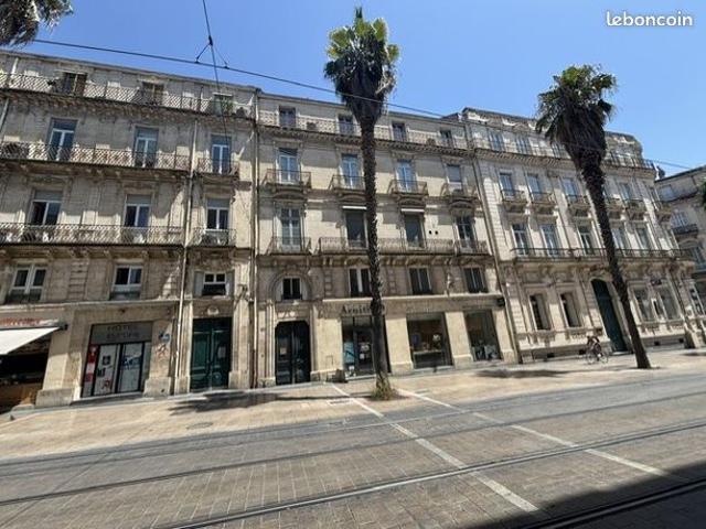 Appartement 6 pièces 128 m²