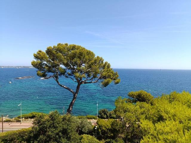 Appartement 84 m2 Cannes