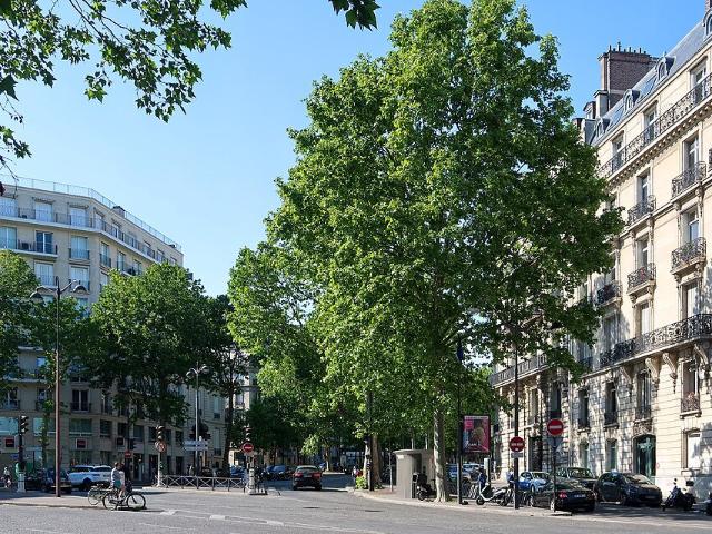 Appartement 8 pièces 300 m²