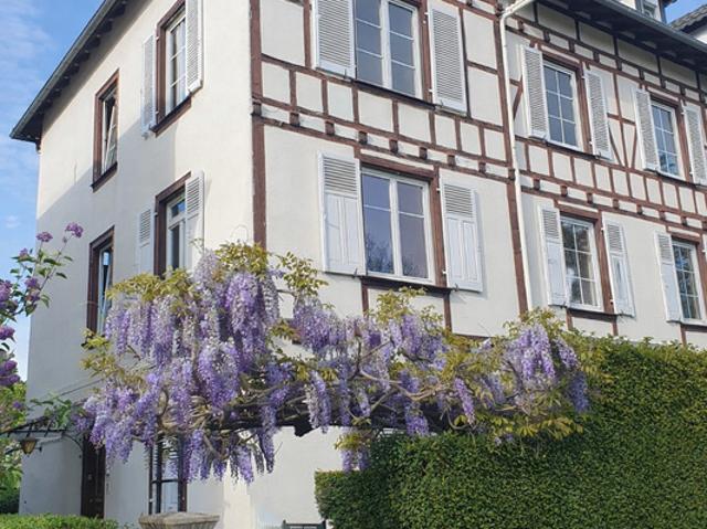 Appartement 91.2 m² 4 pièces au calme 1er étage Quartier TIVOLI / WACKEN