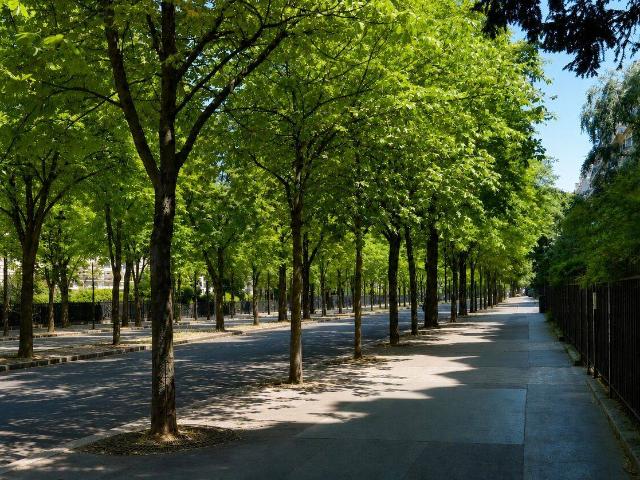 Appartement 100 m2 Paris 16ème