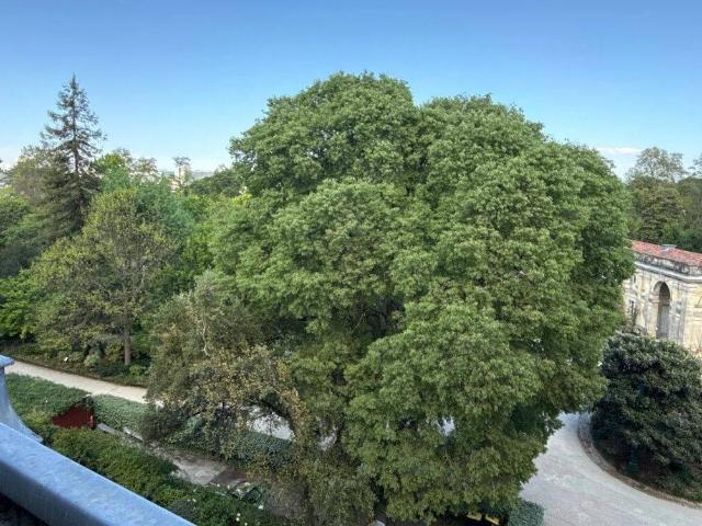 Appartement 195 m2 Bordeaux