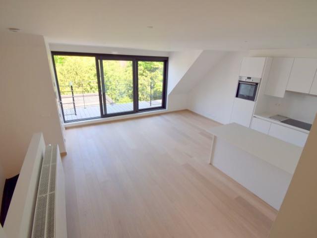 Appartement 1 ch + bur