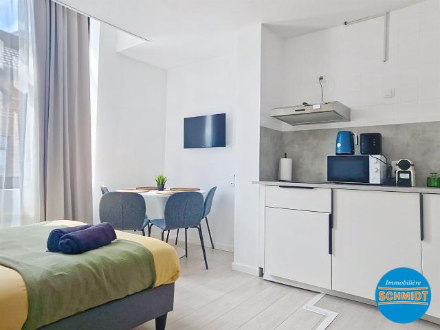 Appartement 1 chambre à louer