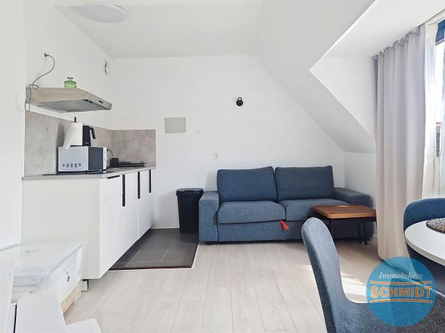 Appartement 1 chambre à louer