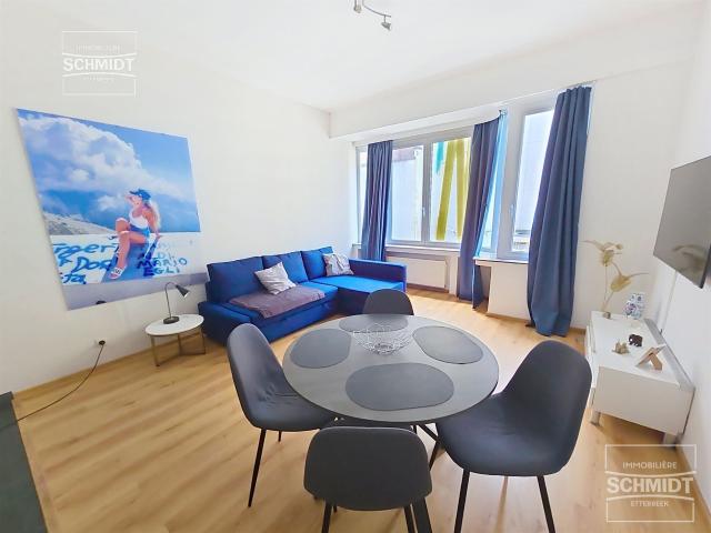 Appartement 1 chambre à louer