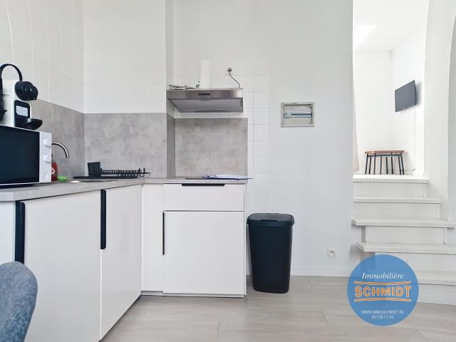 Appartement 1 chambre à louer