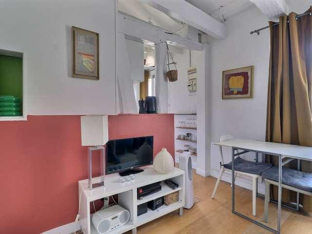Appartement 1 chambre à louer à République Saint Ambroise