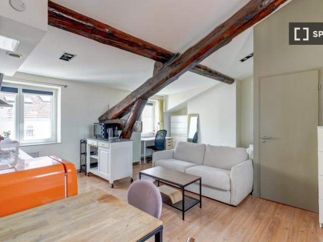 Appartement 1 chambre à louer à Saxe Roosevelt, Lyon