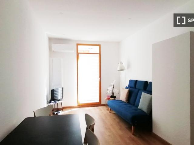 Appartement 1 chambre à louer à Sète