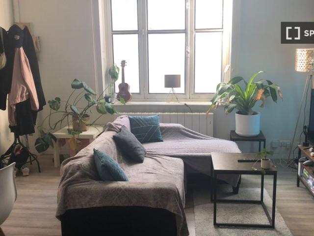 Appartement 1 chambre à louer à Wazemmes, Lille