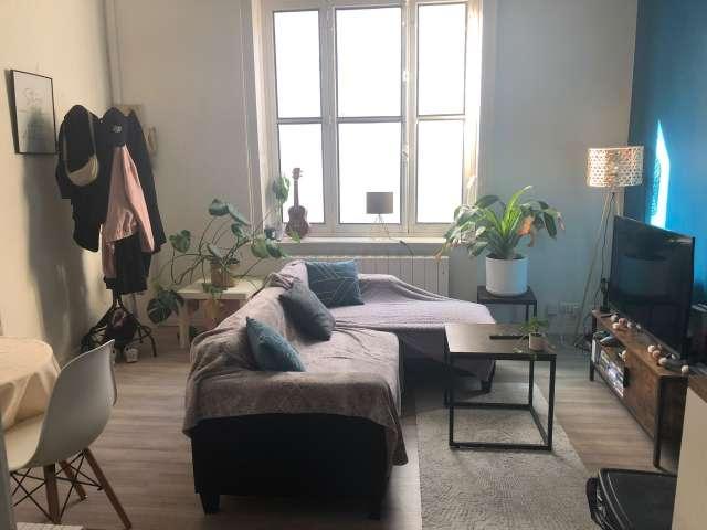Appartement 1 chambre à louer à Wazemmes, Lille