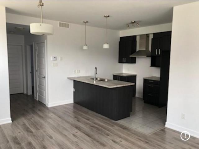 Appartement 1 chambre avec électroménagers