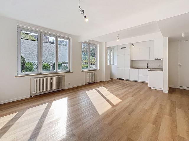 Appartement 1 chambre avec jardin
