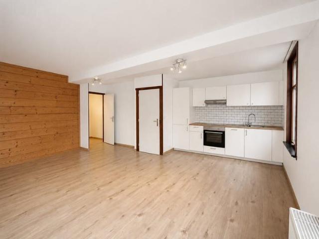 Appartement 1 chambre entièrement rénové – Lumineux – Situat