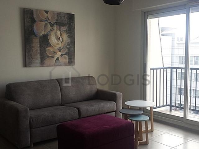 Appartement 1 chambre meublé Lyon 7°