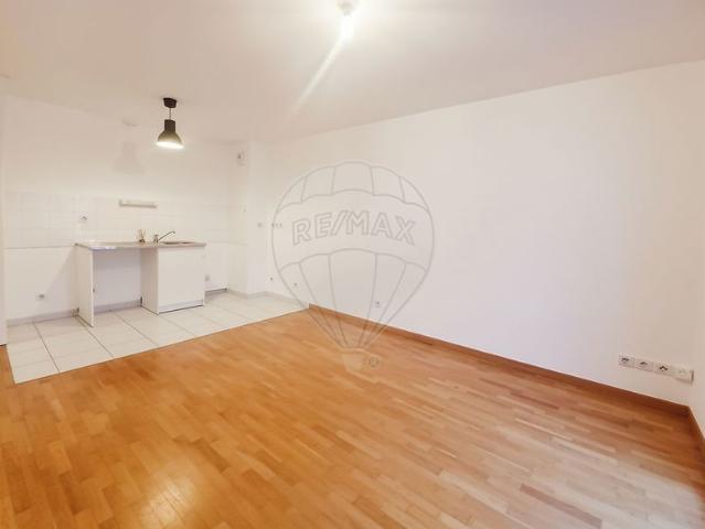 Appartement 1 chambre s à louer