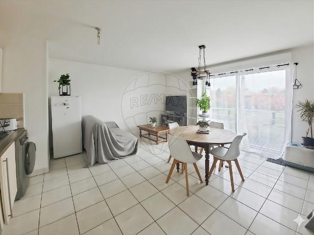 Appartement 1 chambre s à louer
