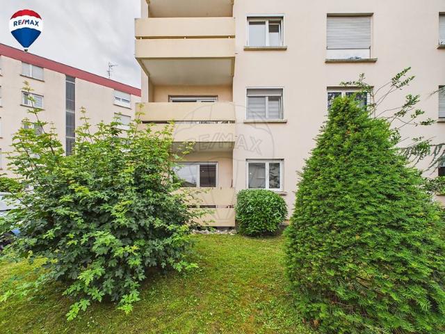 Appartement 1 chambre s à vendre