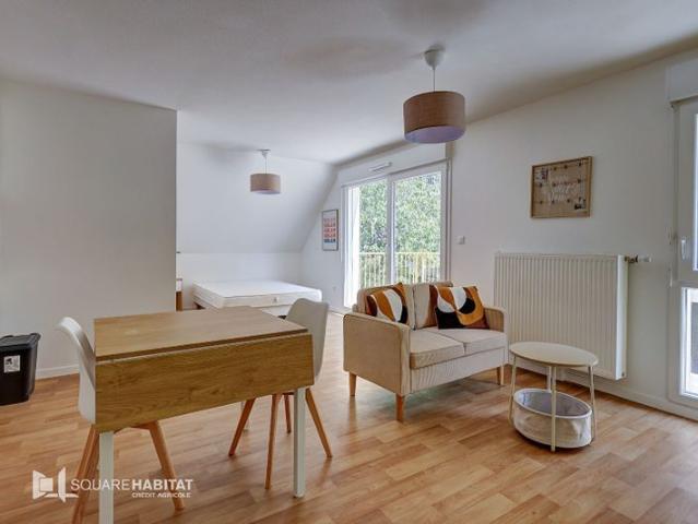 Appartement 1 pièce à louer