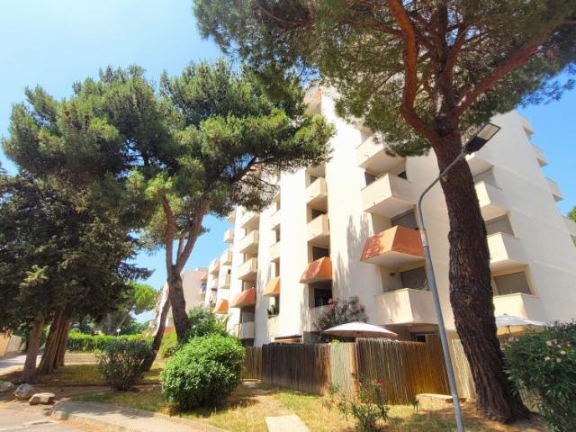 Appartement 1 pièce à louer Montpellier 34070 / Réf: LA4234 IMMOBILIAFR