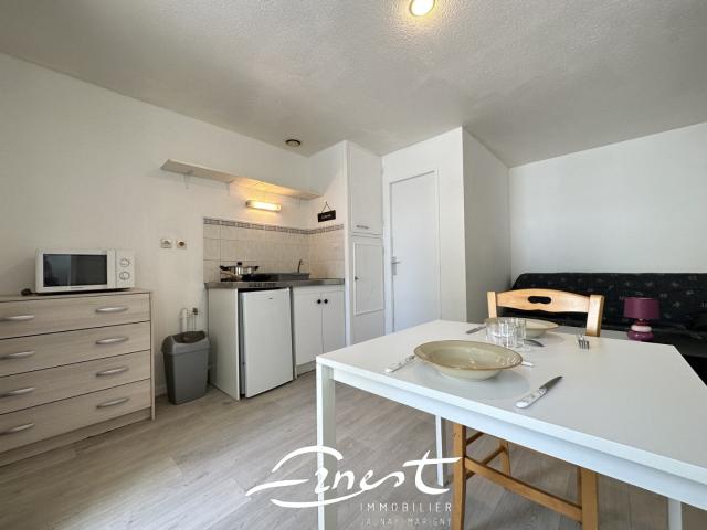 Appartement 1 pièce s 18 m²