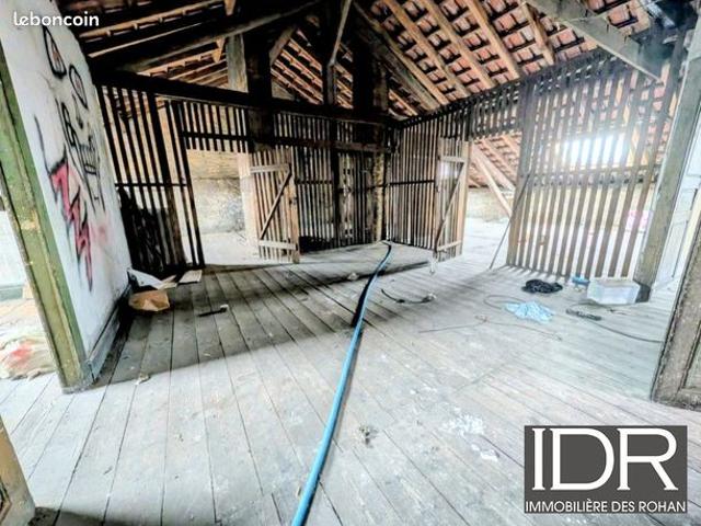Appartement 1 pièce 140 m²