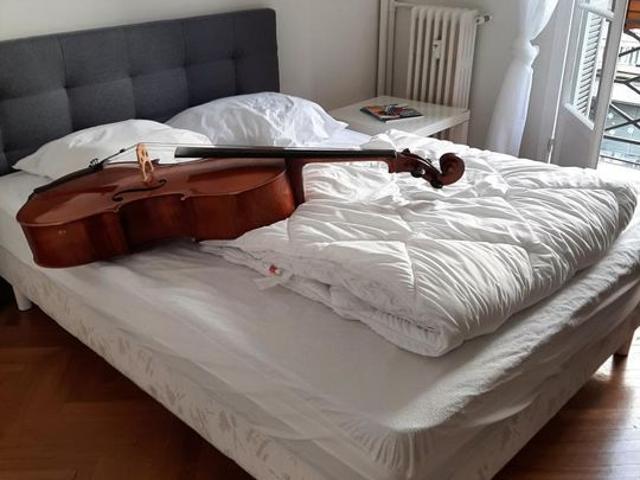 Appartement 1 pièce, 14 m² à louer à Nice 06000