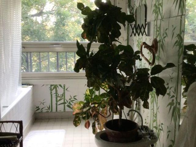 Appartement 1 pièce, 15 m² à louer à Neuilly sur Seine 92200