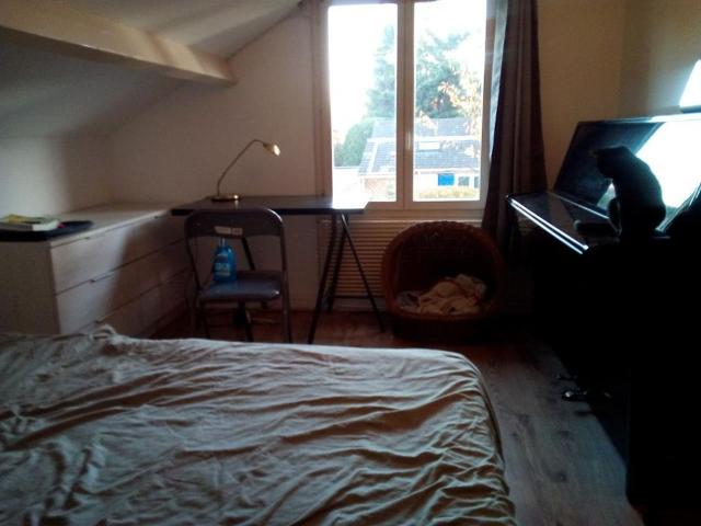 Appartement 1 pièce, 15 m² à louer à Aulnay sous Bois 93600