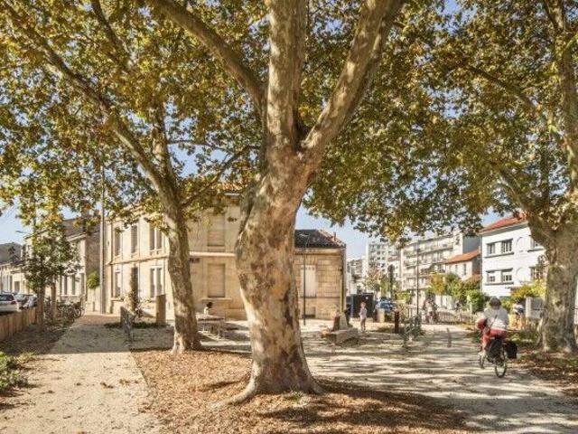 Appartement 1 pièce, 16 m² à louer à Bordeaux 33000