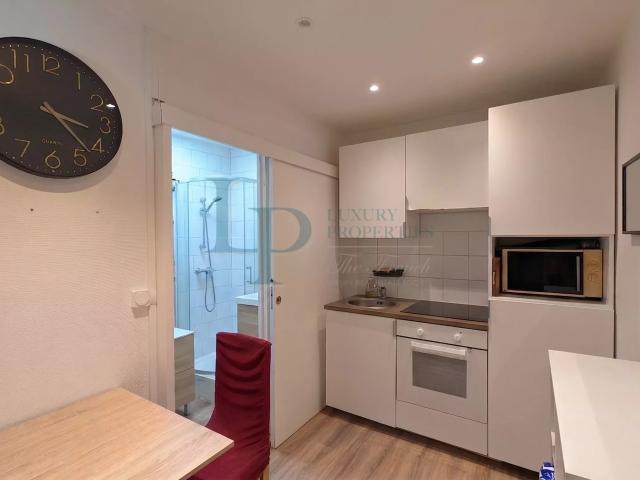 Appartement 1 pièce 17 m²