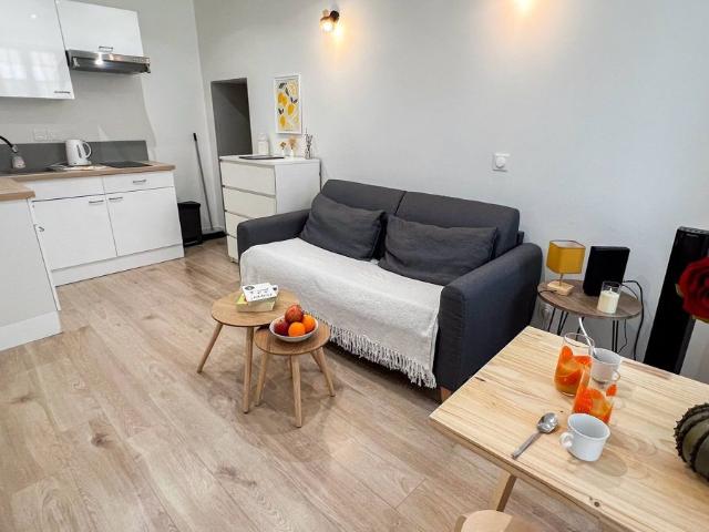Appartement 1 pièce, 17 m² à louer à Avignon 84000